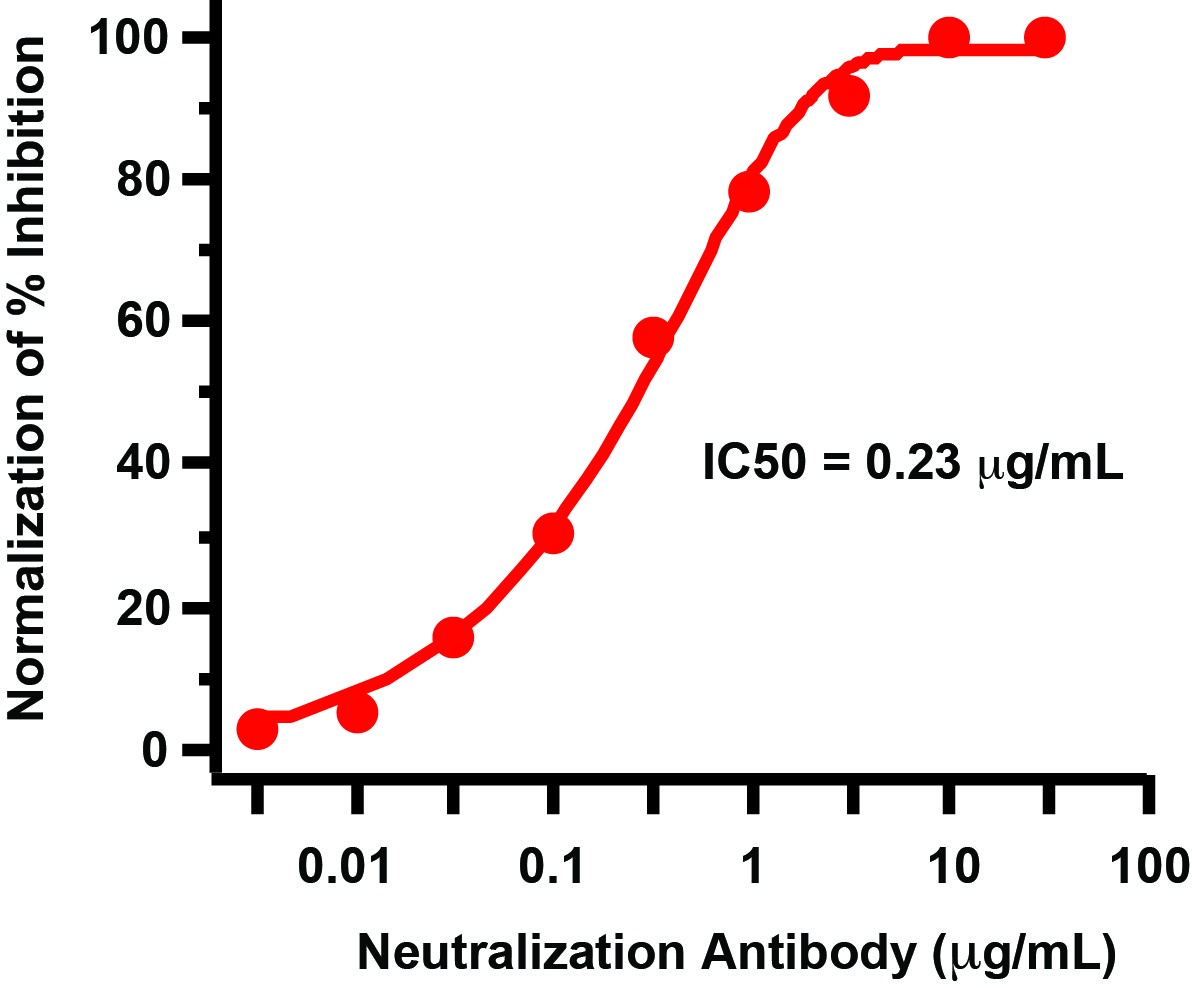 SARS-CoV-2 Delta Variant Pseudovirus