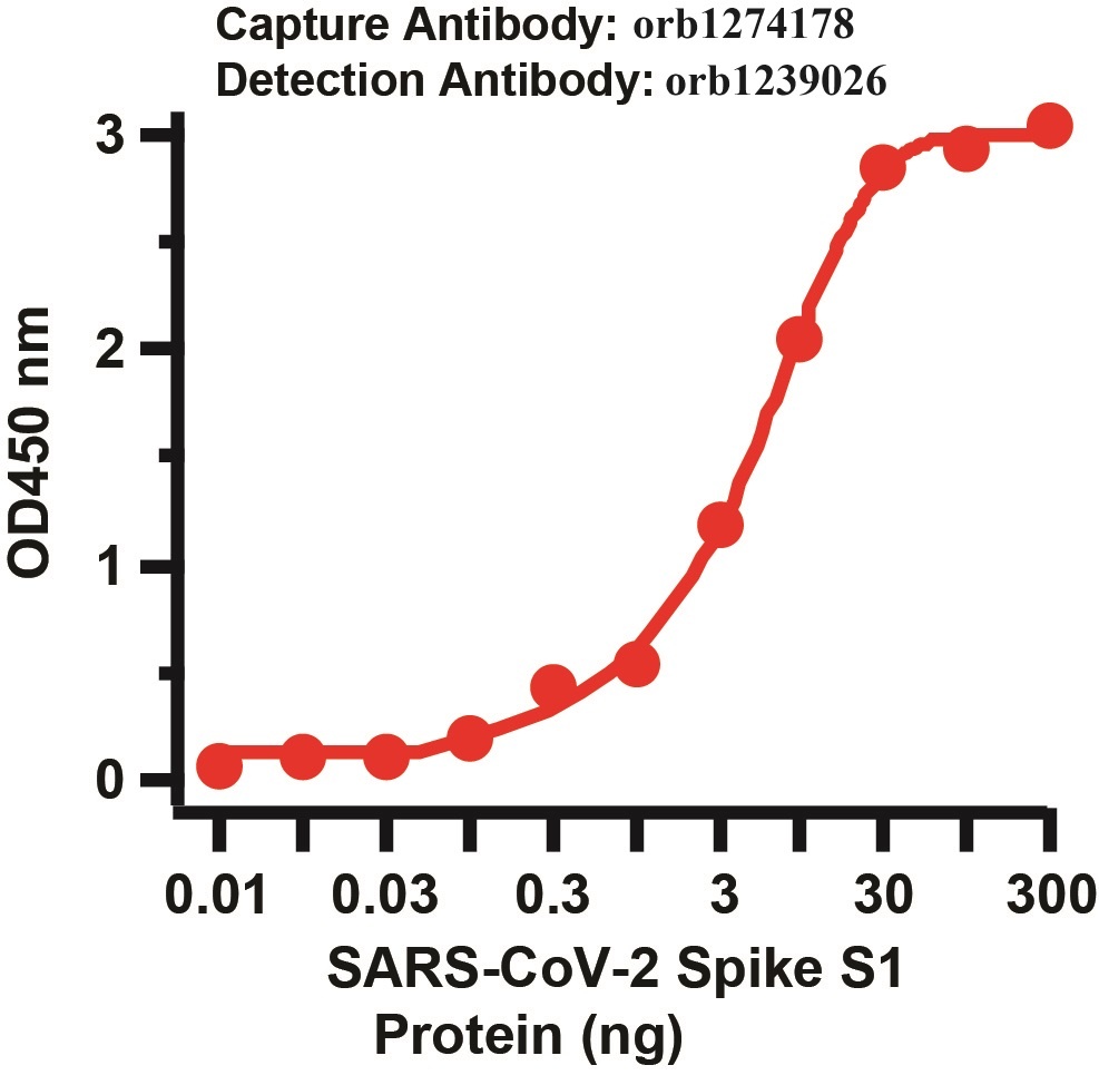 SARS-CoV-2 (COVID-19) Spike Matched Pair