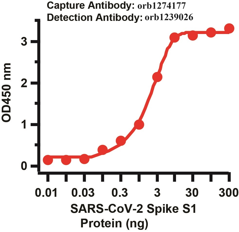 SARS-CoV-2 (COVID-19) Spike Matched Pair