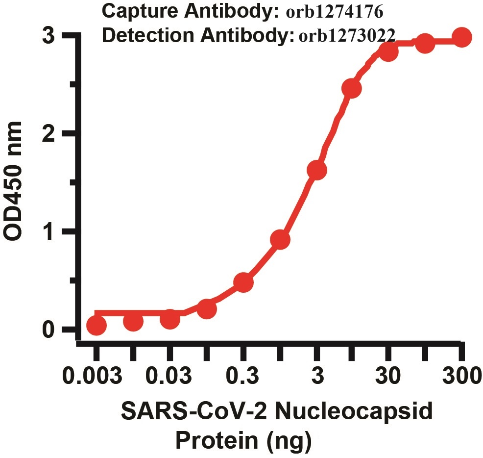 SARS-CoV-2 (COVID-19) Nucleocapsid Matched Pair