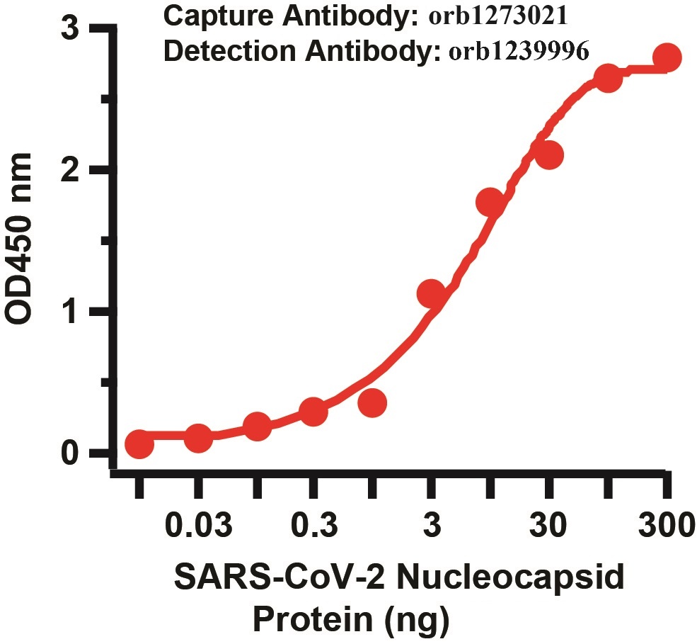 SARS-CoV-2 (COVID-19) Nucleocapsid Matched Pair