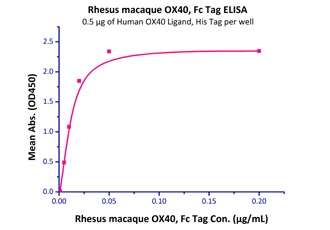 OX40 Recombinant Protein