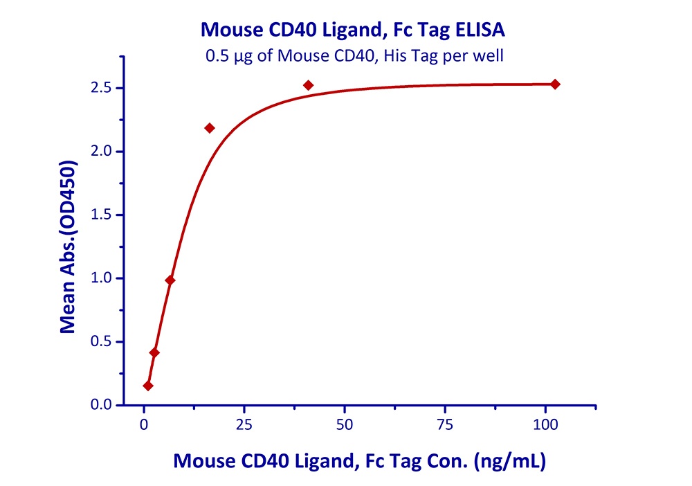 CD40 Ligand Recombinant Protein