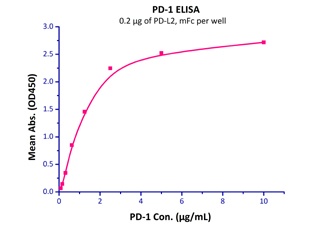 PD-L2 Recombinant Protein