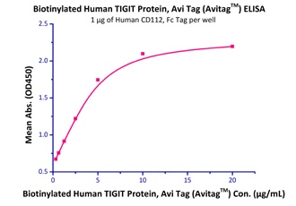 Nectin-2 Recombinant Protein