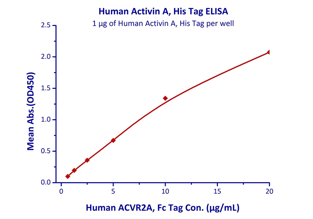 Activin A Recombinant Protein
