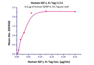 IGFBP-4 Recombinant Protein