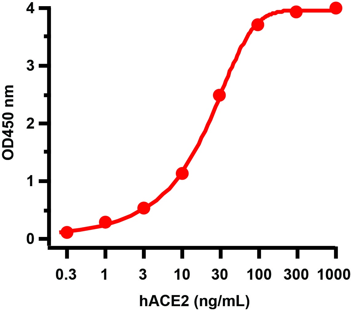 SARS-CoV-2 (COVID-19) Delta Variant Spike RBD (His-Avi Tag) Recombinant Protein