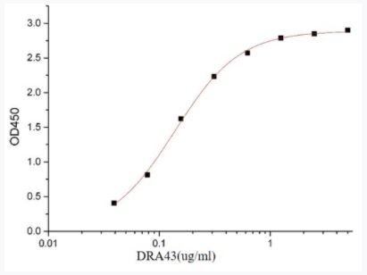 SARS-CoV-2 (COVID-19) S Protein RBD-SD1 Recombinant Protein