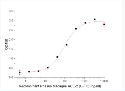 Rhesus Macaque ACE-2 Recombinant Protein