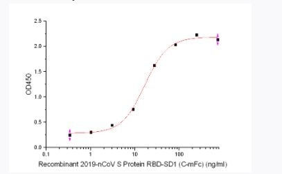 Rhesus Macaque ACE-2 Recombinant Protein