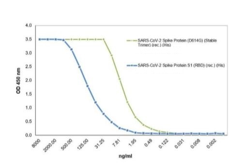 SARS-CoV-2 (COVID-19) Spike (D614G) (Stable Trimer) Recombinant Protein