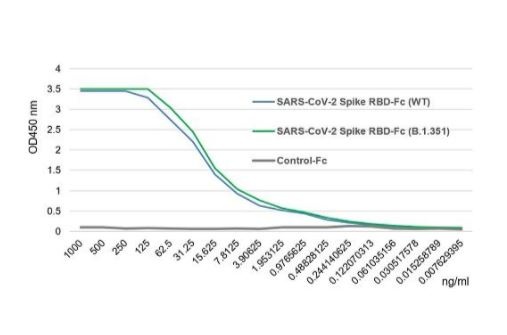 SARS-CoV-2 (COVID-19) Beta Variant (B.1.351, SA) Spike S1 (RBD) Recombinant Protein