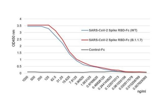 SARS-CoV-2 (COVID-19) Alpha Variant (B.1.1.7, UK) Spike S1 (RBD) Recombinant Protein