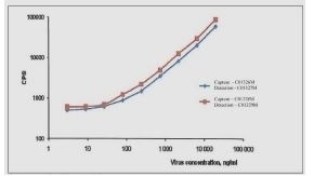 Influenza B Strain B/Tokyo/53/99 Antigen