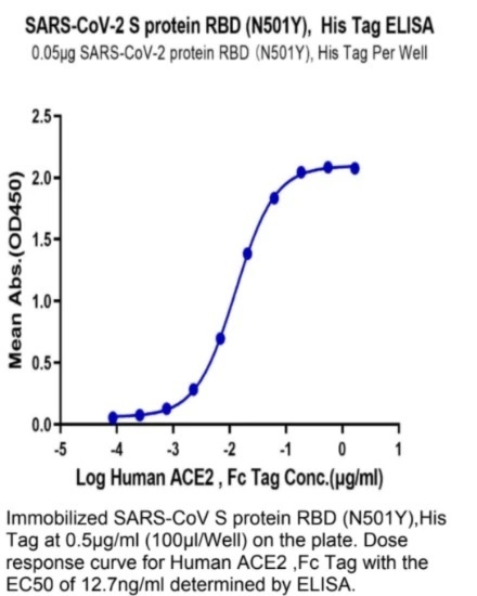 SARS-CoV-2 (COVID-19) UK variant (B.1.1.7) S RBD (N501Y) Recombinant Protein