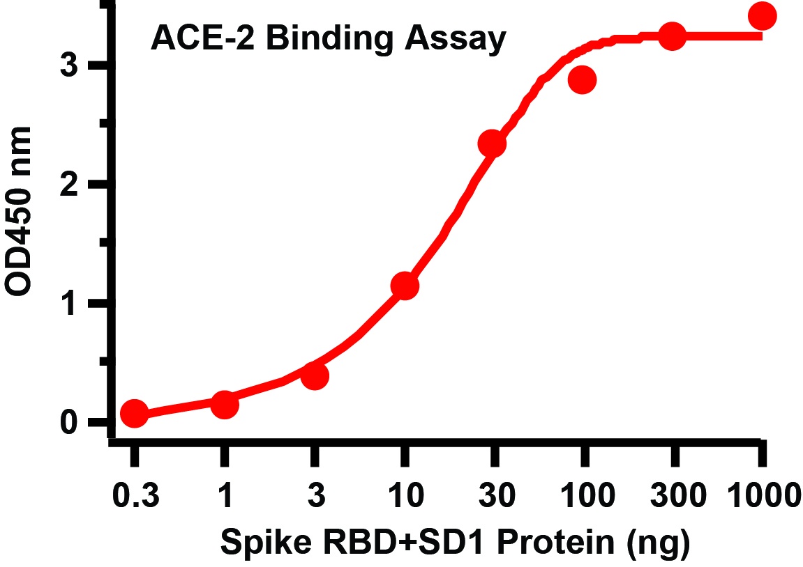 SARS-CoV-2 (COVID-19) Spike RBD + SD1 Recombinant Protein