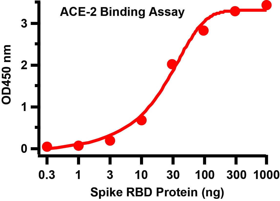 SARS-CoV-2 (COVID-19) Spike RBD Recombinant Protein