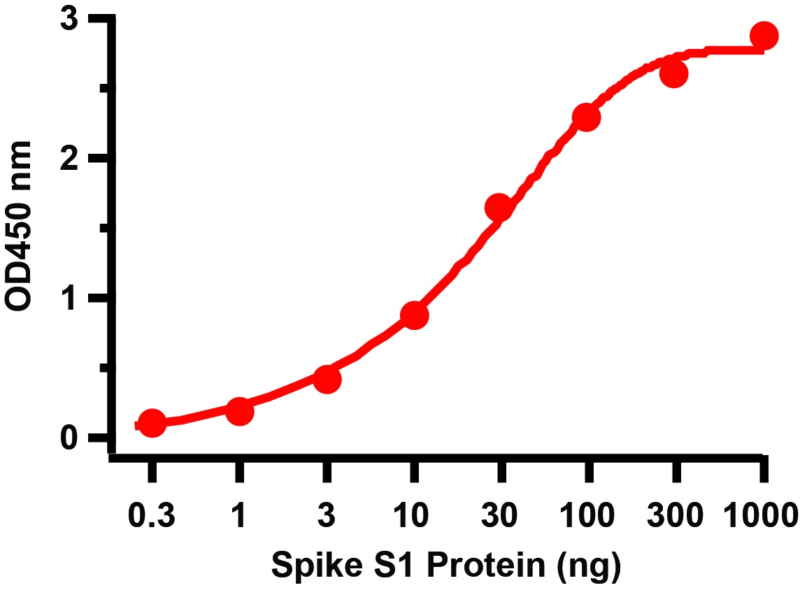 SARS-CoV-2 (COVID-19) Spike S1 Recombinant Protein