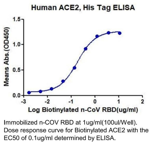 SARS-CoV-2 (COVID-19) Biotinylated Spike RBD Recombinant Protein