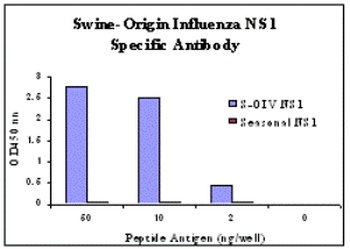 Swine H1N1 Nonstructural Protein 1 Antibody