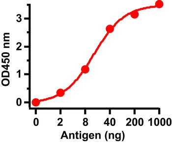 SARS-CoV Spike Antibody