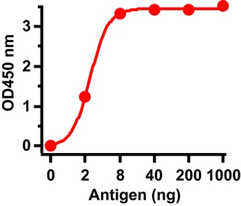 SARS-CoV Spike Antibody