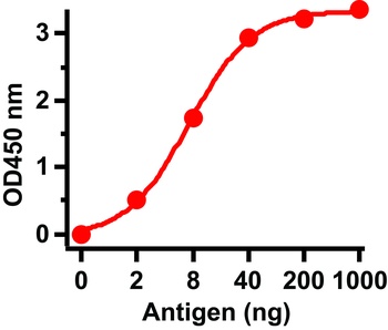 SARS-CoV Spike Antibody