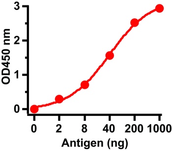 SARS-CoV Matrix Antibody