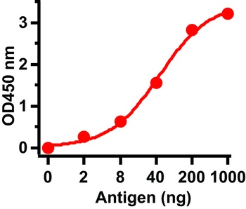 SARS-CoV Envelope Antibody