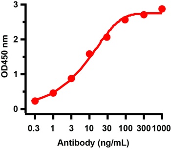 ORF9b Antibody