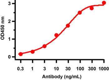 SARS-CoV-2 (COVID-19) ORF7a Antibody