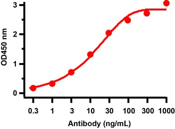 Non-structural protein 6 Antibody