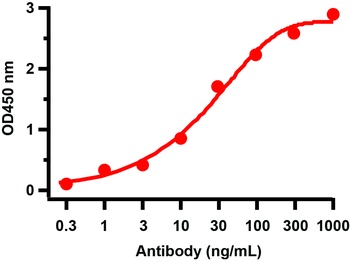Non-structural protein 4 Antibody