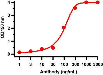 Non-structural protein 2 Antibody