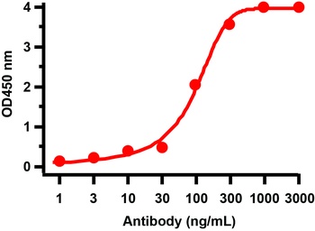 SARS-CoV-2 (COVID-19) NSP2 Antibody