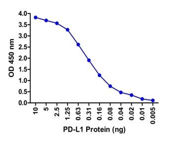 CD274 Antibody (Biotin)