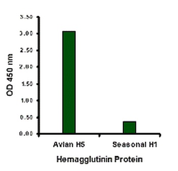 NA Antibody