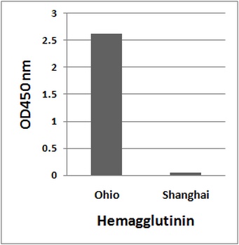 HA Antibody