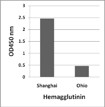 Avian Influenza A H7N9 Hemagglutinin Antibody