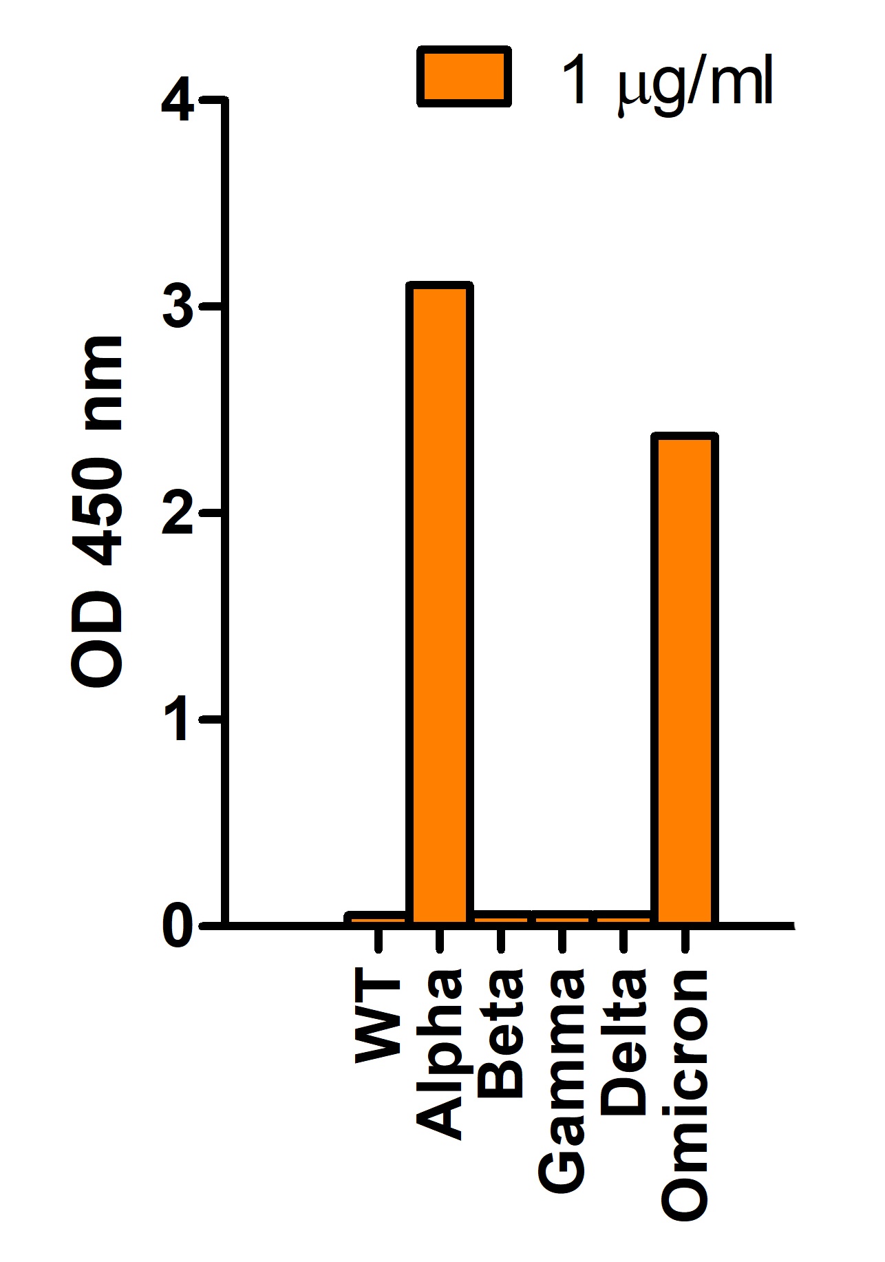 SARS-CoV-2 Spike P681H Antibody [7C11H11] (Omicron, Alpha Variant)
