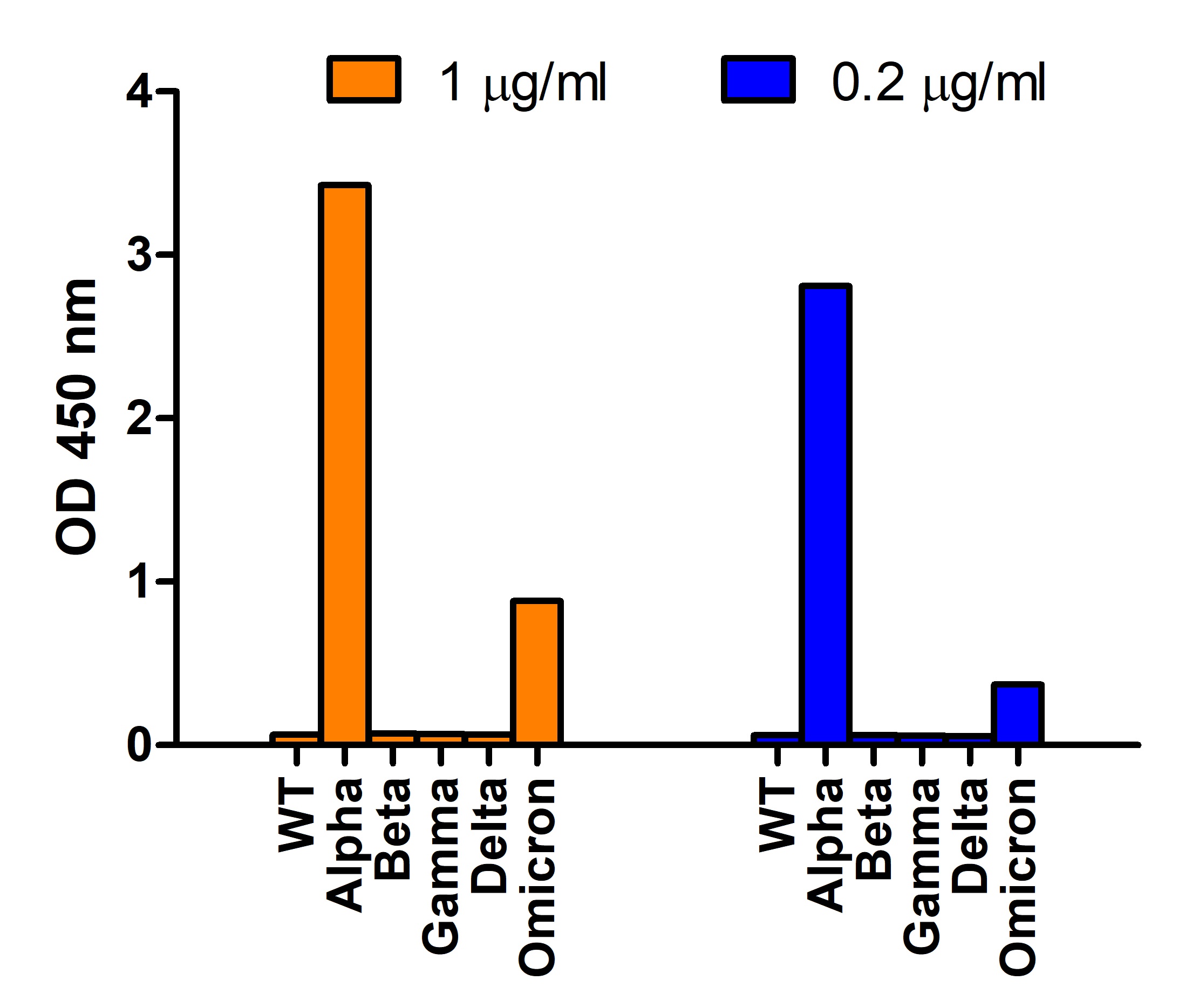 SARS-CoV-2 Spike P681H Antibody [1G8D11] (Alpha, Mu Variant)