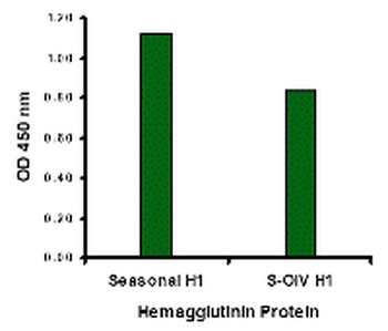 Seasonal H1N1 Hemagglutinin Antibody