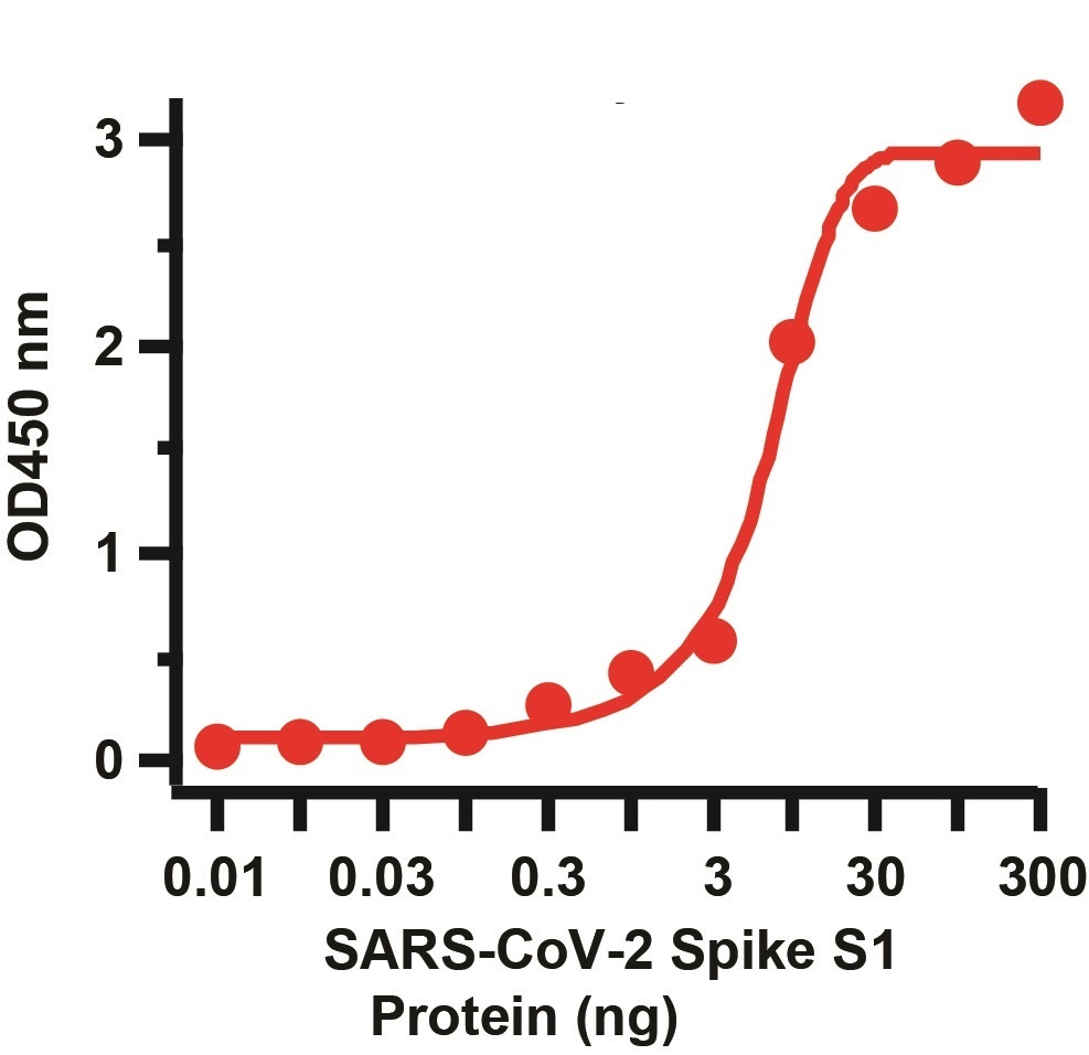 SARS-CoV-2 (COVID-19) Spike 681P Antibody (biotin)