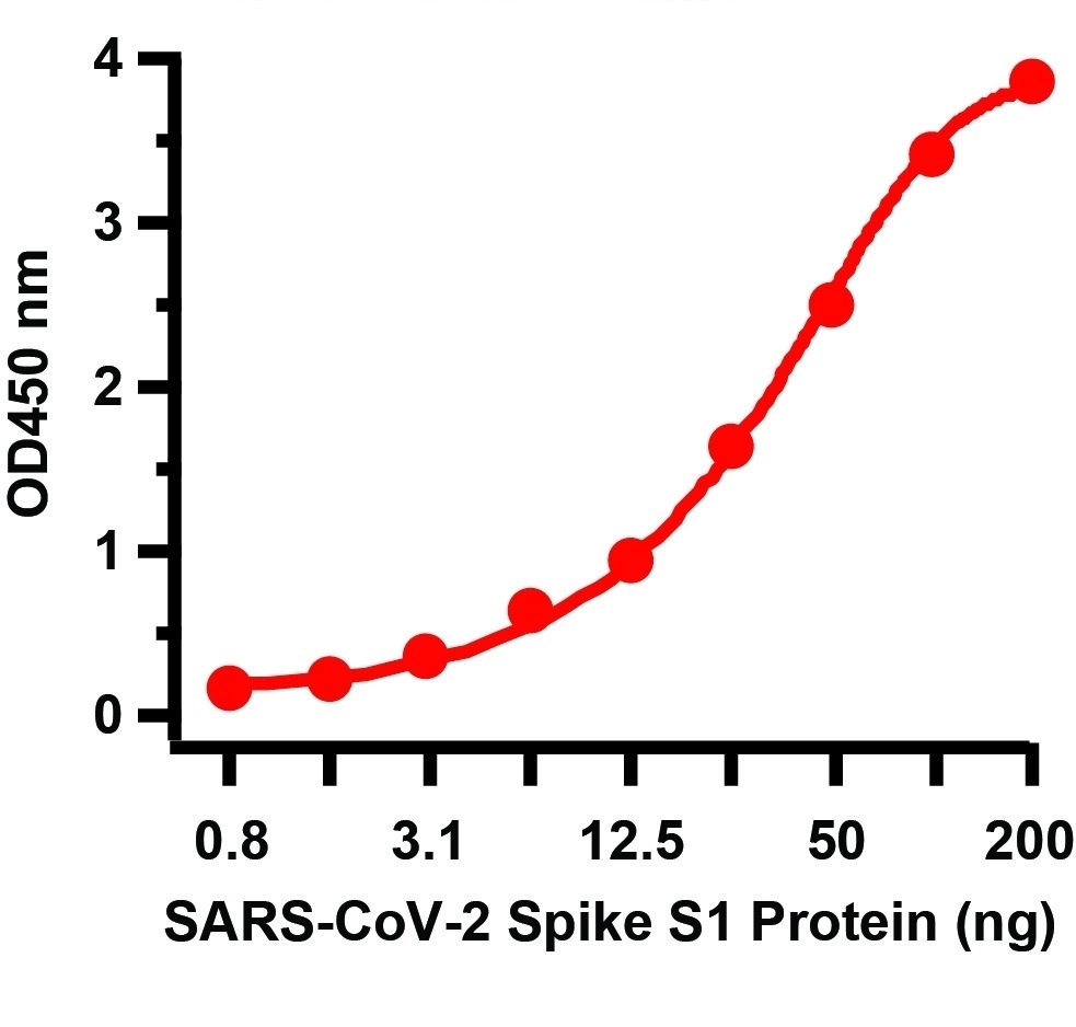 SARS-CoV-2 (COVID-19) Spike S1 Antibody (biotin)