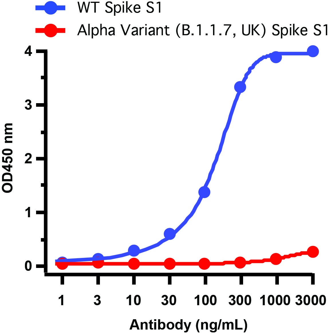 SARS-CoV-2 (COVID-19) Spike 681P Antibody [8G10A1]