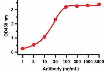 Non-structural protein 9 Antibody