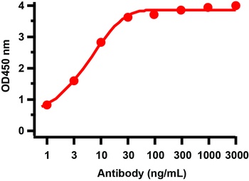 SARS-CoV-2 (COVID-19) NSP15 Antibody