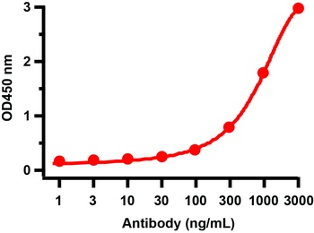 SARS-CoV-2 (COVID-19) 3CL-PRO (NSP5) Antibody