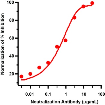 SARS-CoV-2 (COVID-19) Spike Q493R G496S Q498R N501Y Y505H Antibody (Omicron)